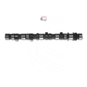 Compre Árvore de cames de CAMPRO online para Lancer IV Hatchback (C6_A, C7_A) a preços moderados