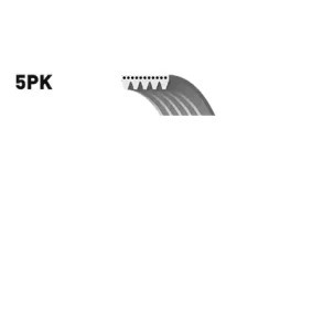 Keilrippenriemen 5PK970