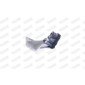 Compre Fita de borracha, sistema de escape de WALKER online para C4 Picasso I (UD_) a preços moderados