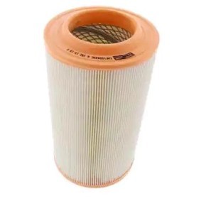 Luftfilter CAF100449C
