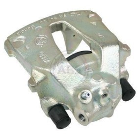 Bremssattel 421561