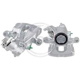 Bremssattel 529621