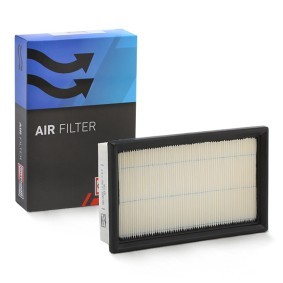 Luftfilter CAF100521P