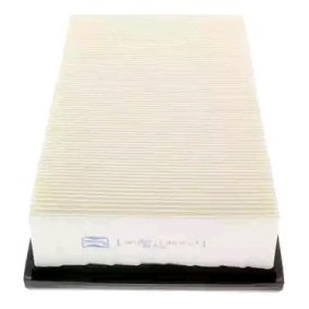 Luftfilter CAF100527P