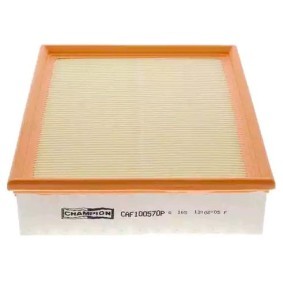 Luftfilter CAF100570P