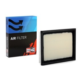 Luftfilter CAF100640P