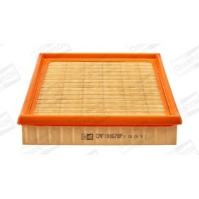 Luftfilter CAF100678P