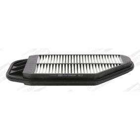 Luftfilter CAF100939P