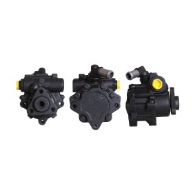Servopumpe des Herstellers DRI - Originalware Artikelnummer: 715520023