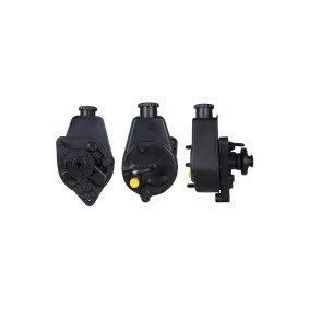 Servopumpe 715520280 von DRI günstig für 154,10 € online kaufen