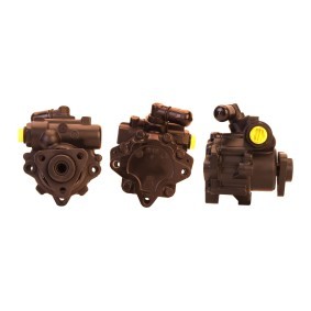 Servopumpe von DRI 715520287