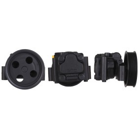 Servopumpe 715520399 von DRI günstig für 129,24 € online kaufen