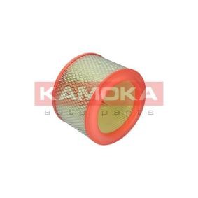Luftfilter F209701