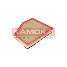 Luftfilter F219601