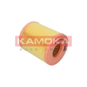 Luftfilter F236501