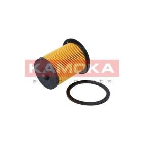 Kraftstofffilter F307101