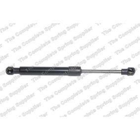 Gasfeder, Verdeck 421056