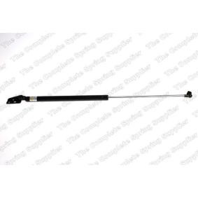 Heckklappendämpfer 436007 von KILEN günstig für 18,84 € online kaufen