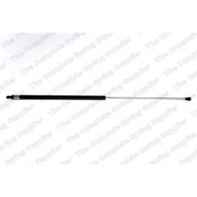 Heckklappendämpfer 456017 von KILEN günstig für 24,69 € online kaufen