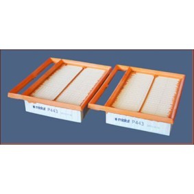 Luftfilter P443