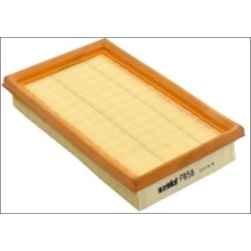 Luftfilter P858