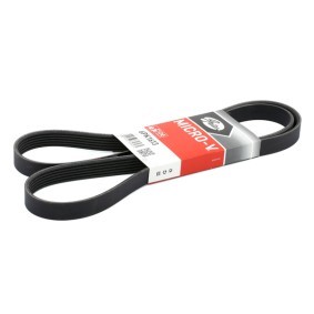 Acquista Cinghia servizi da GATES 6PK1613 a buon mercato per soli 14,74 €