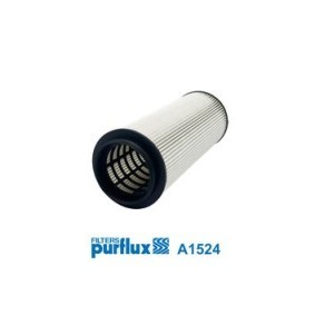 Kjøp Luftfilter av PURFLUX A1524 til den lave prisen 193,60 NOK