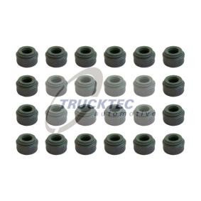 Köp Packningssats, ventiler av TRUCKTEC AUTOMOTIVE 02.43.166 till det låga priset 246,99 kr