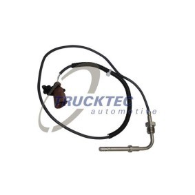 Türgriff von TRUCKTEC AUTOMOTIVE