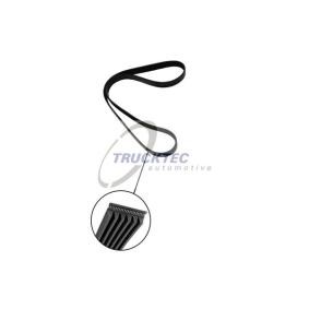 Achetez des Courroie Poly-V TRUCKTEC AUTOMOTIVE 08.19.068 à prix pour 10,56 €