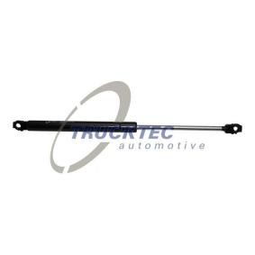 Köp Gasfjäder till baklucka av TRUCKTEC AUTOMOTIVE 08.62.006 till det låga priset 257,77 kr