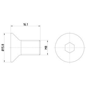 Schraube, Bremsscheibe TPM0006