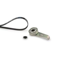 Acquista Kit Cinghie Poly-V da GATES K016PK1103 a buon mercato per soli 80,04 €
