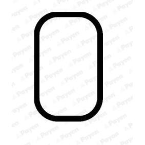 Comprar Junta, carcasa de colector de admisión de PAYEN JD5935 a bajo precio de 5,10 €