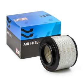 Luftfilter von CHAMPION CAF100732R