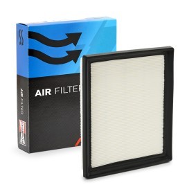 Luftfilter CAF100937P