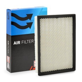Luftfilter CAF100949P