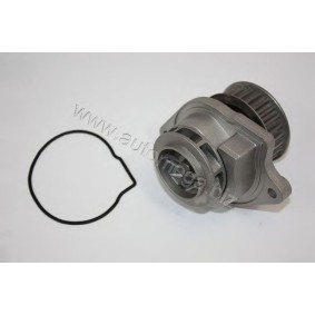 Achetez des Pompe à eau AUTOMEGA 301210008030C à prix pour 30,36 €