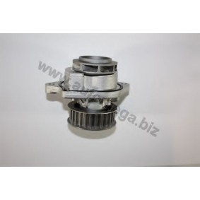 Achetez des Pompe à eau AUTOMEGA 301210008036L à prix pour 29,29 €