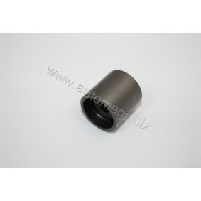 Acquista Galoppino / Guidacinghia, Cinghia dentata da AUTOMEGA 301090244058 a buon mercato per soli 10,94 €