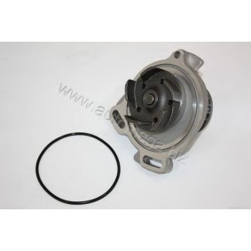 Achetez des Pompe à eau AUTOMEGA 301210004069 à prix pour 30,38 €