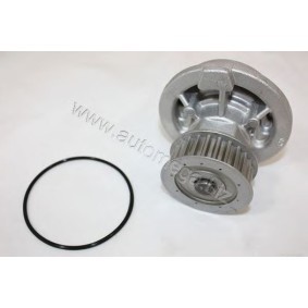 Achetez des Pompe à eau AUTOMEGA 3013340054 à prix pour 28,21 €