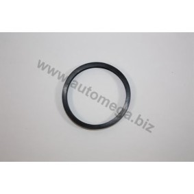 Dichtung, Thermostat für OPEL von AUTOMEGA