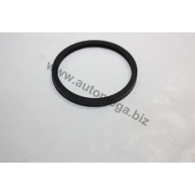 Dichtung, Thermostat für OPEL von AUTOMEGA