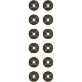 Comprar Juego de juntas, vástago de válvula de REINZ 12-10143-02 a bajo precio de 47,91 €
