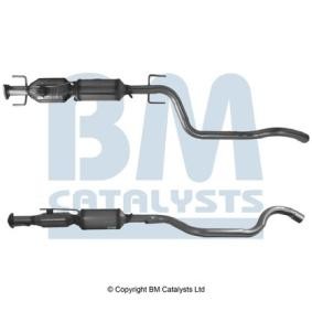 Partikelfilter (DPF) BM11028H