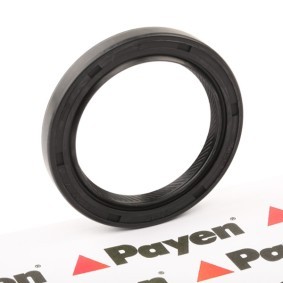 Osta PAYEN Kampiakselin tiiviste netistä ECLIPSE IV (DK_A)-mallille edulliseen hintaan