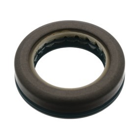 Acquista Paraolio, Cambio manuale da FEBI BILSTEIN 46171 a buon mercato per soli 16,93 €