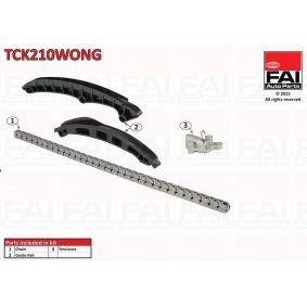 Steuerkettensatz TCK210WONG