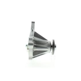 Achetez des Pompe à eau AISIN WPS-033 à prix pour 76,30 €